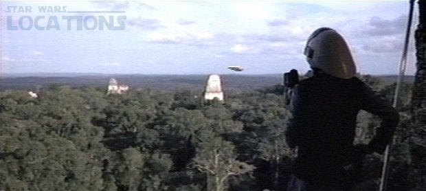 anh118