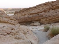 A long-shot back to Jawa Rock, you can see how close it is to the car park.
