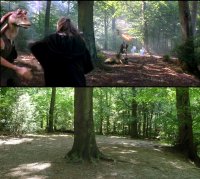 Comparison showing the original movie frame.