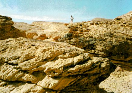 canyonpod.jpg (46721 octets)