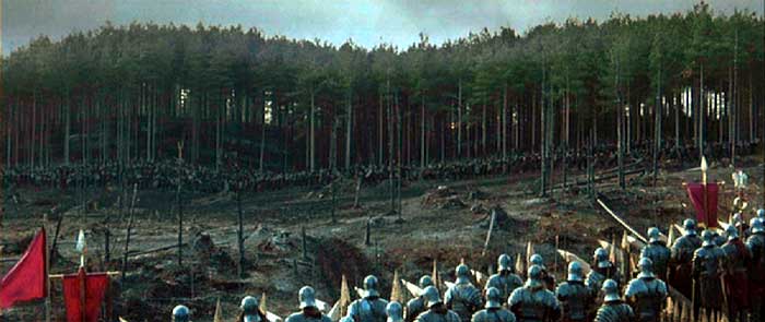 Legionnaires look across the battlefield