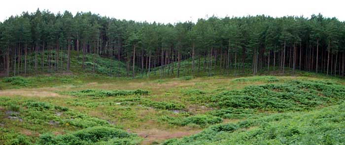 Same view of the field