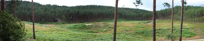 Panorama of the battle (real)