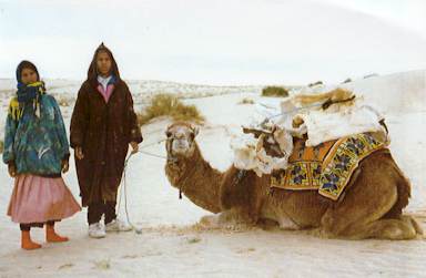 bones.jpg (14512 octets)