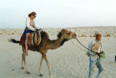 camel.jpg (12735 octets)