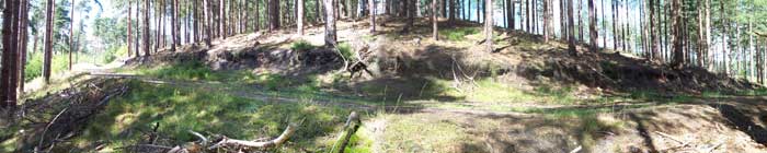 Panorama of the road