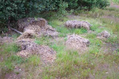 Left over from filming?