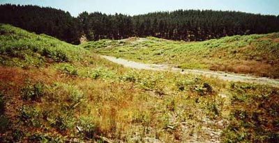 The view down the canyon
