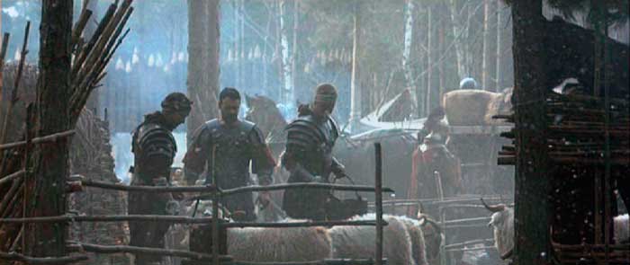 Maximus and some sheep